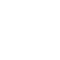 vlsi globe
